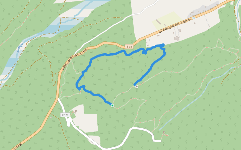 Carpinus Trail walking route map in Telavi