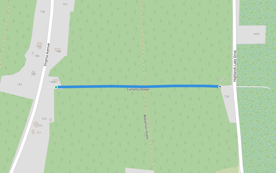 Camellia Street walking route map in Lake Placid