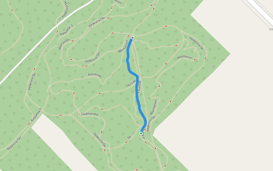 Furtive walking route map in Saint-Onésime