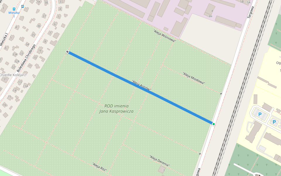 "Aleja Astrów" walking route map in Tczew