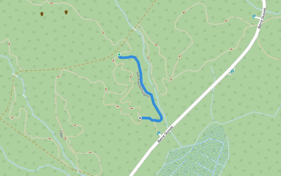 Sort PseudoTsuga 2 walking route map in Hornsyld