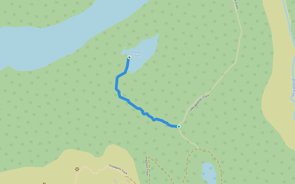 Platypus Tarn Track walking route map in Mount Field