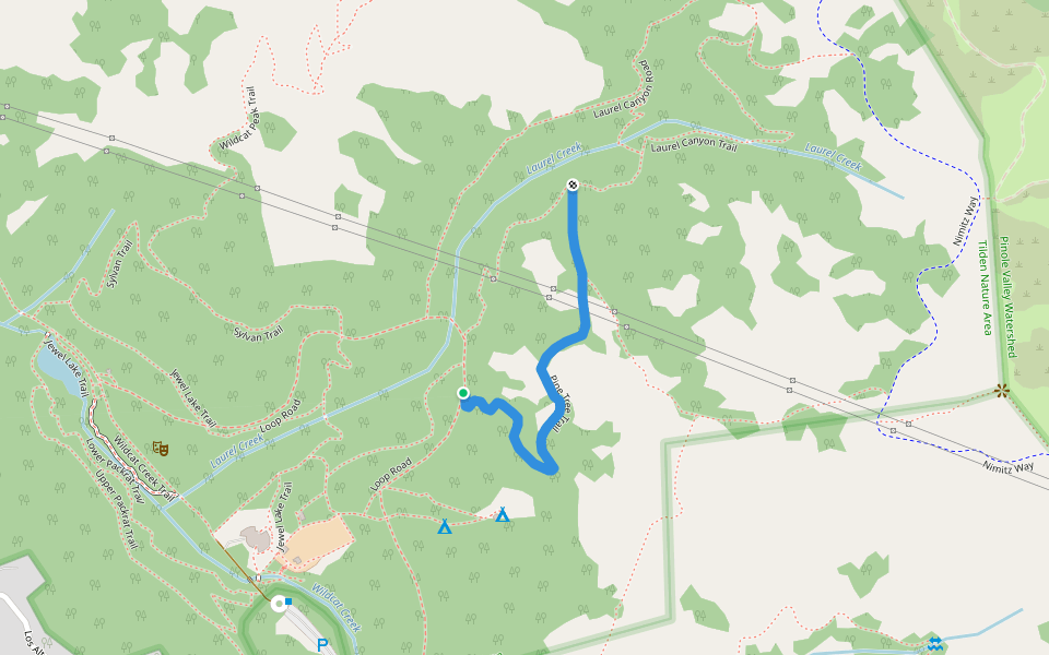 Pine Tree Trail walking route map in Kensington
