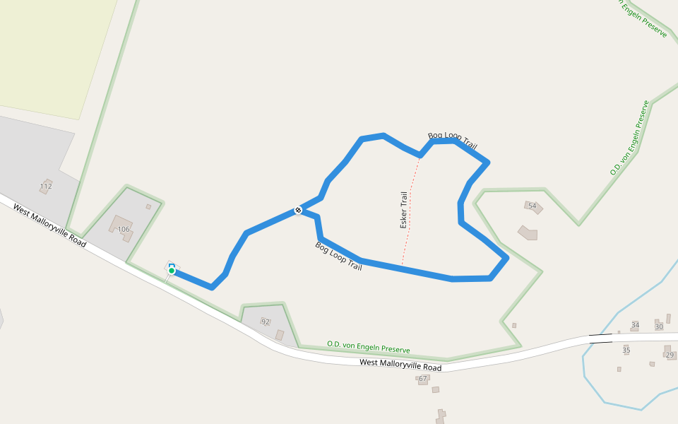 Bog Loop Trail walking route map in Freeville