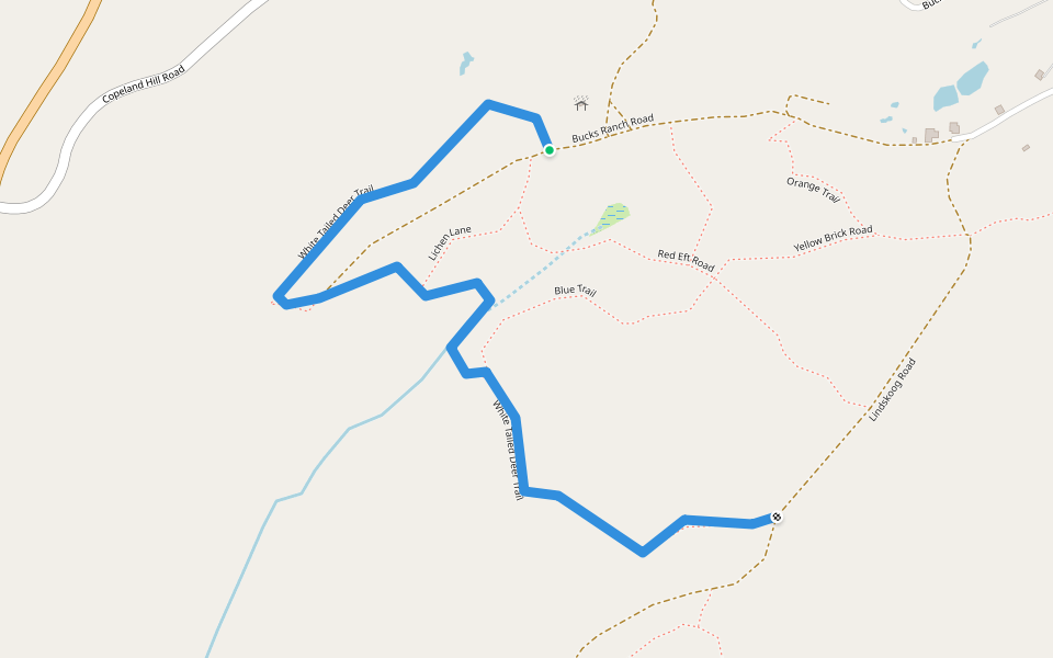 White Tailed Deer Trail walking route map in Coeymans Hollow