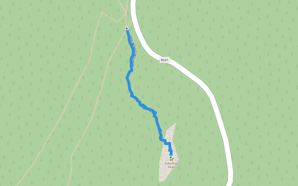 към връх Соколица walking route map in Smolyan