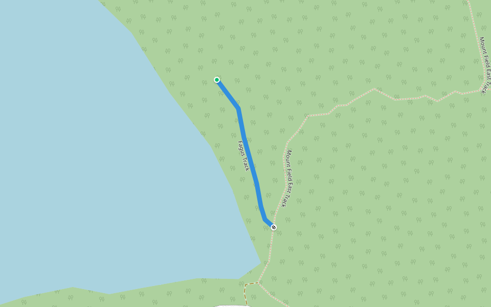 Fagus Track walking route map in Mount Field