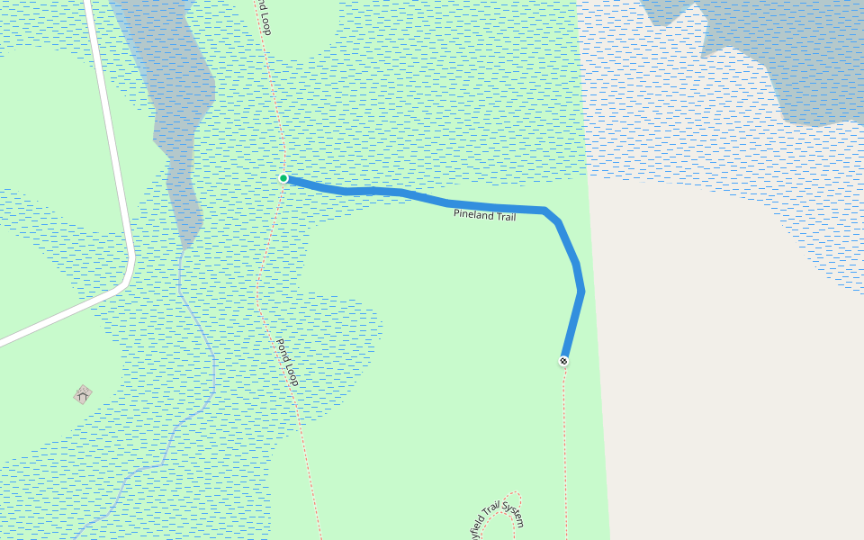 Pineland Trail walking route map in Hollywood