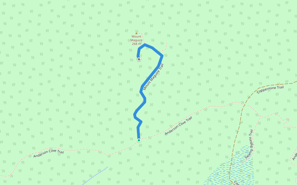 Mount Maguire Trail