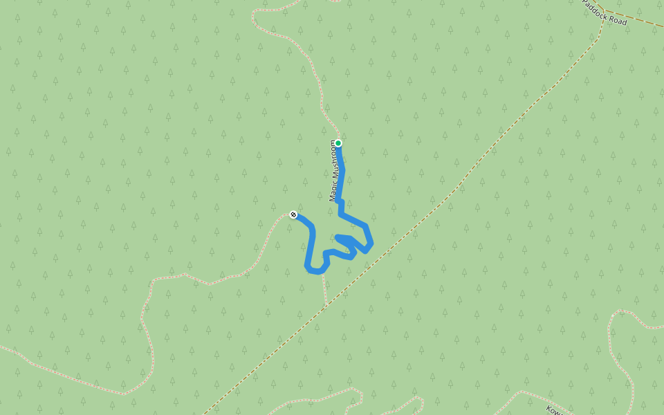 Magic Mushroom walking route map in Oaks Estate