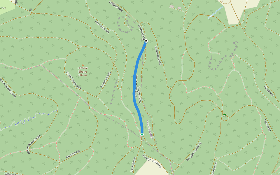 Alter Langholzweg walking route map in Arlesheim