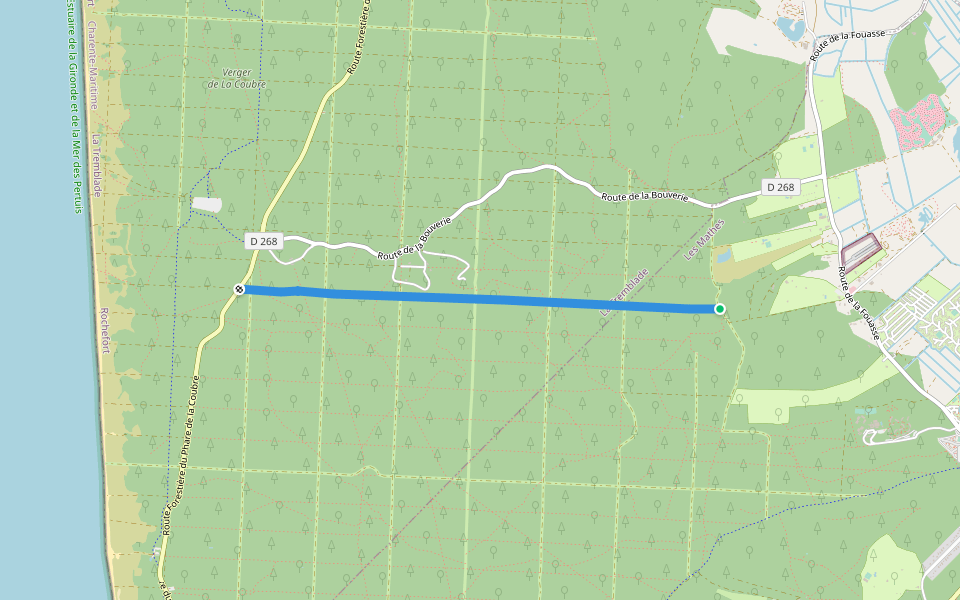 Ligne 37 walking route map in Les Mathes