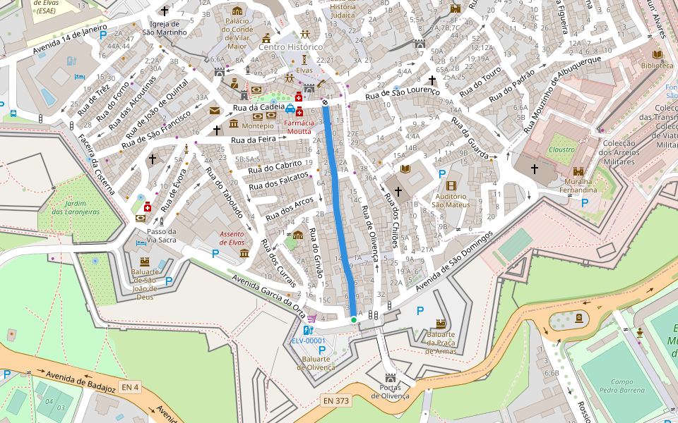 Rua de Alcamim walking route map in Reguengo