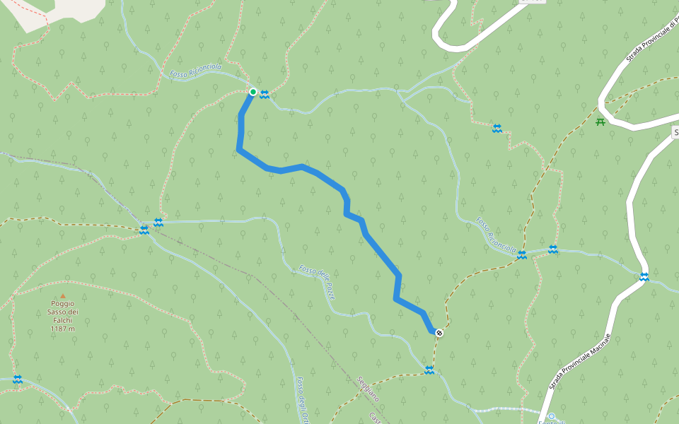 Deviazione 601 Anello dell'Amiata