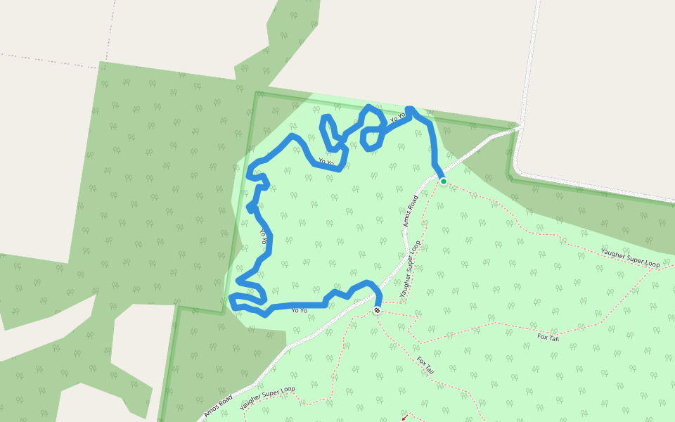 Yo Yo walking route map in Forrest