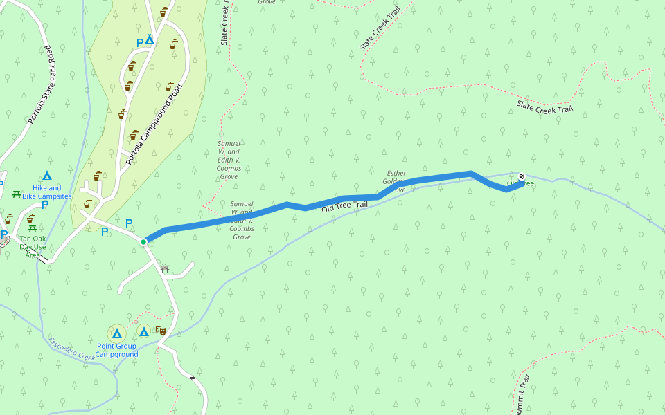 Old Tree Trail walking route map in La Honda