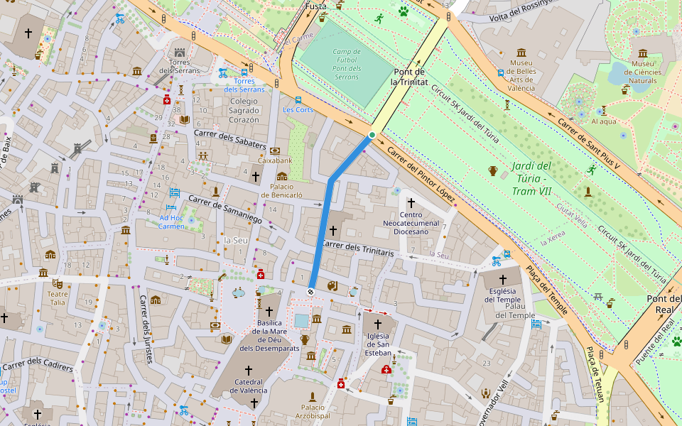 Carrer del Salvador walking route map in València