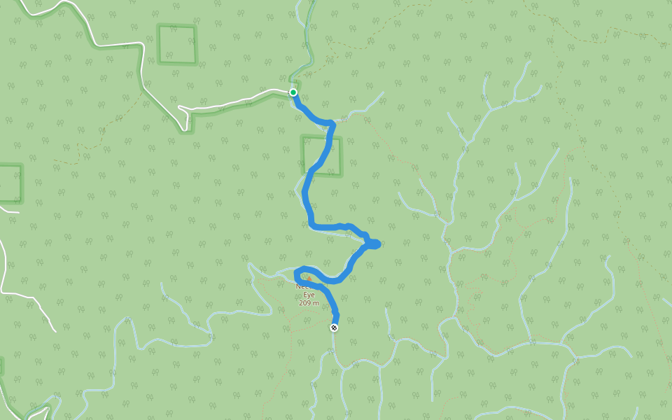 Thompson Creek Wild Hiking Trail walking route map in Mount Hope