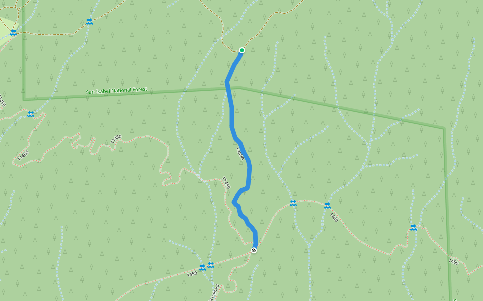 1450A walking route map in Buena Vista