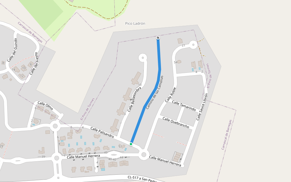 Camino de las Camelias walking route map in Carrascal de Barregas