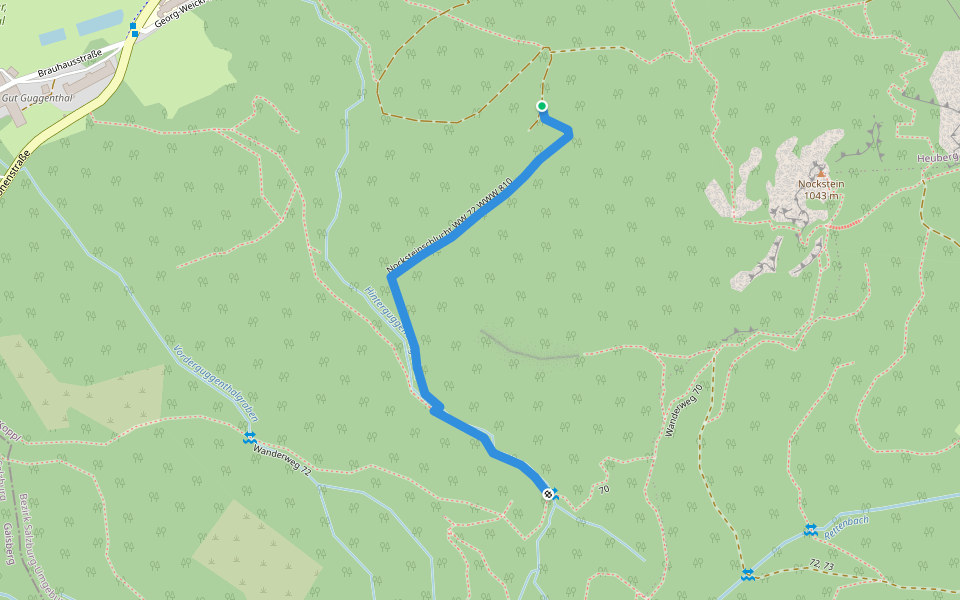 Nocksteinschlucht WW 72 WWW 810