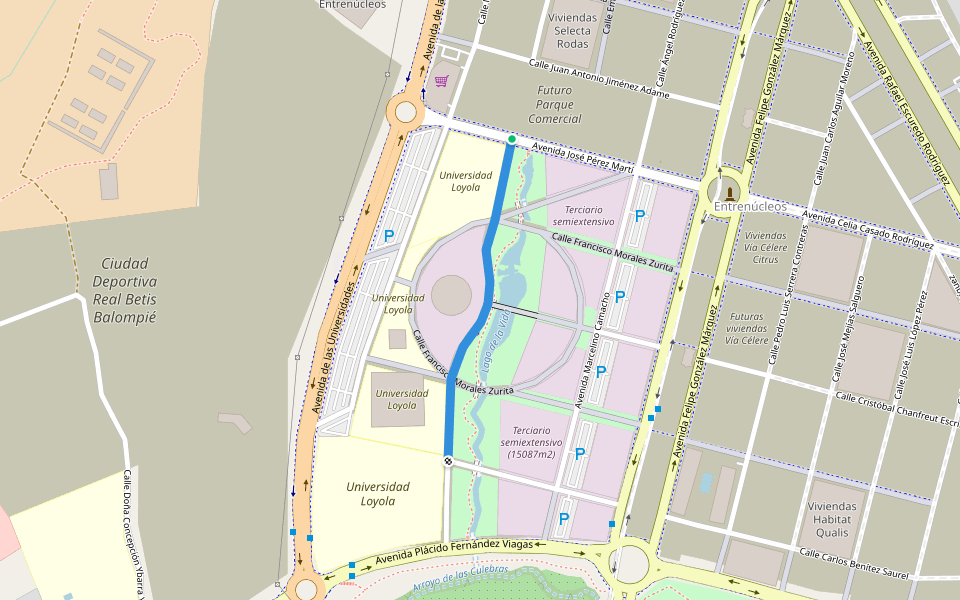 Calle Miguel Manaute Humanes walking route map in Dos Hermanas