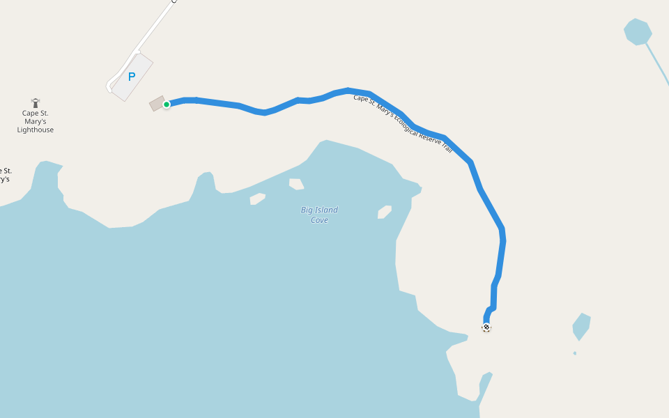 Cape St. Mary's Ecological Reserve Trail