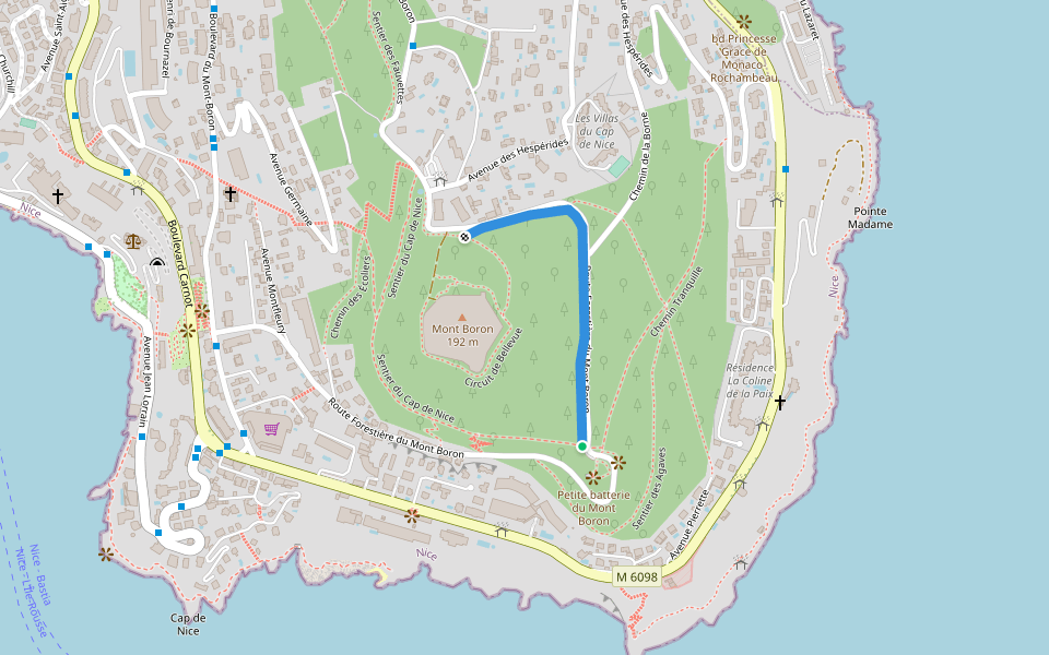 Chemin Route Forestière