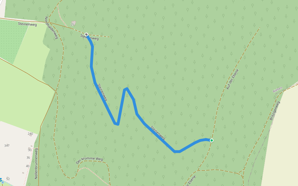 Steinenweg walking route map in Riehen