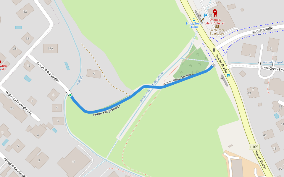 Anton-Kolig-Straße