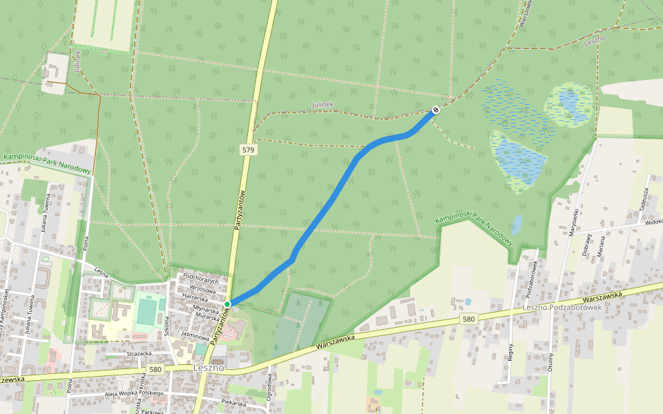 Wierszowska Droga walking route map in Leszno