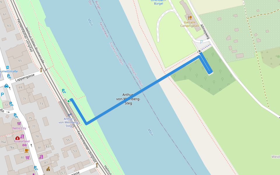 Arthur-von-Weinberg-Steg