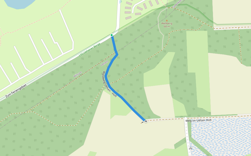 Waldweg Uelsen - Holt walking route map in Wilsum