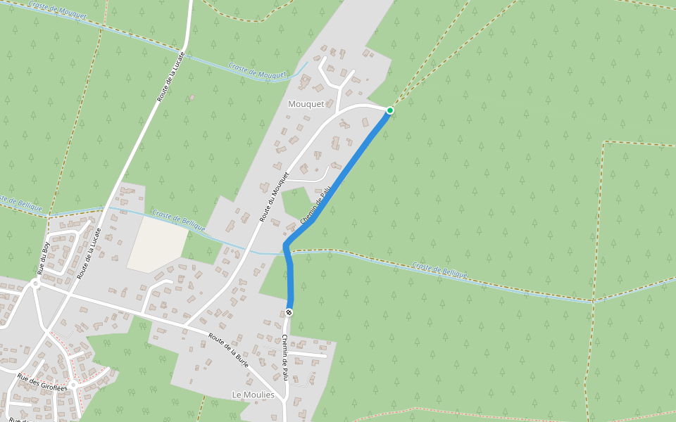 Chemin de Palu walking route map in Parentis-en-Born