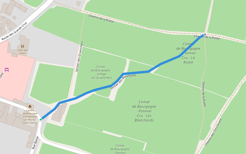 Sentier des Blanchards walking route map in Morey-Saint-Denis