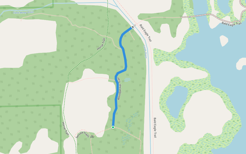 Woodpecker Trail walking route map in Willis