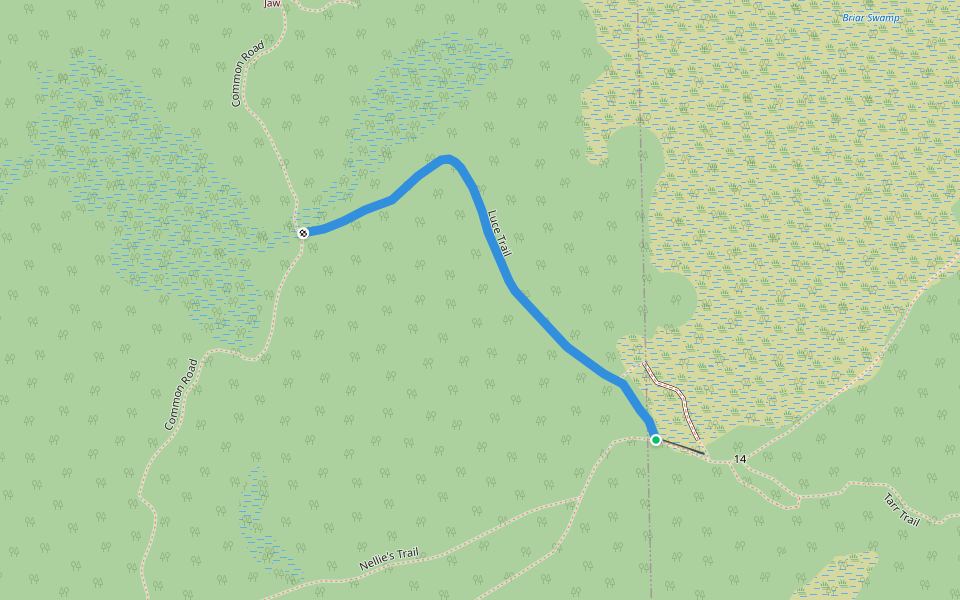 Luce Trail