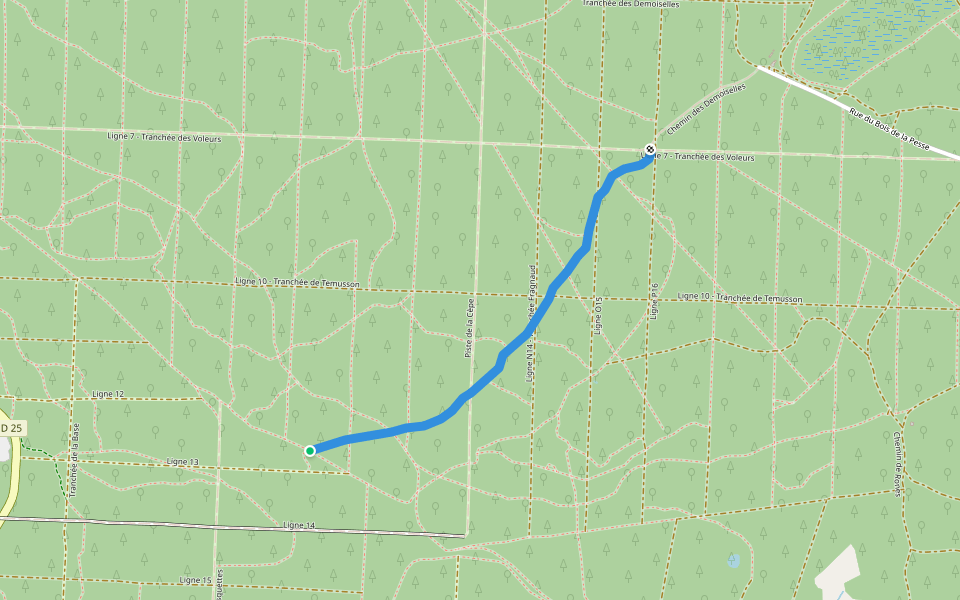 Chemin des Demoiselles walking route map in La Tremblade