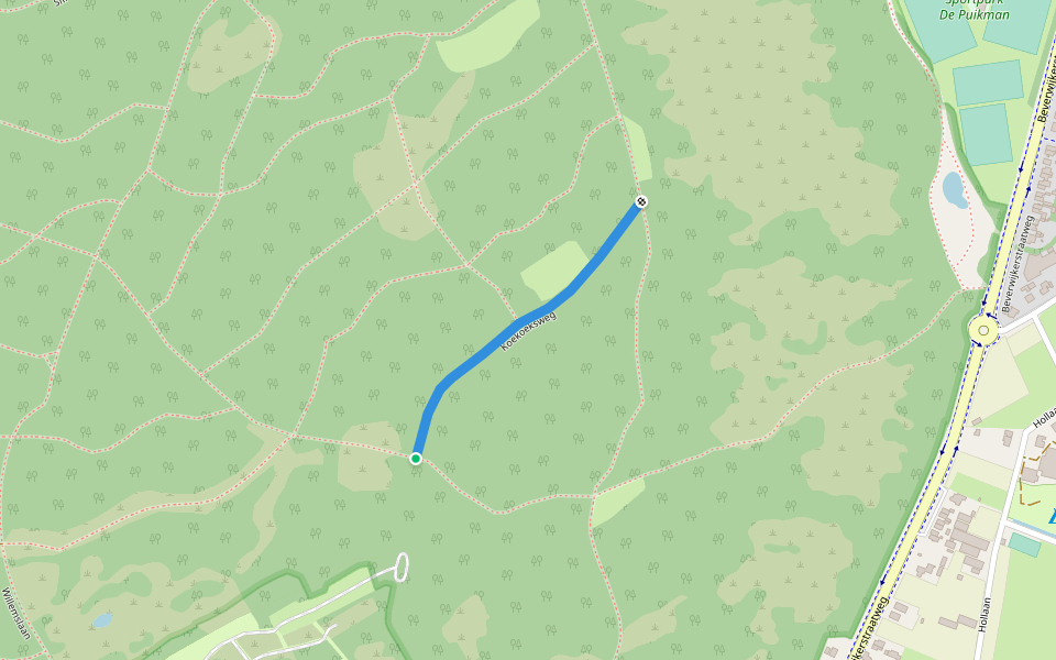 Koekoeksweg walking route map in Castricum