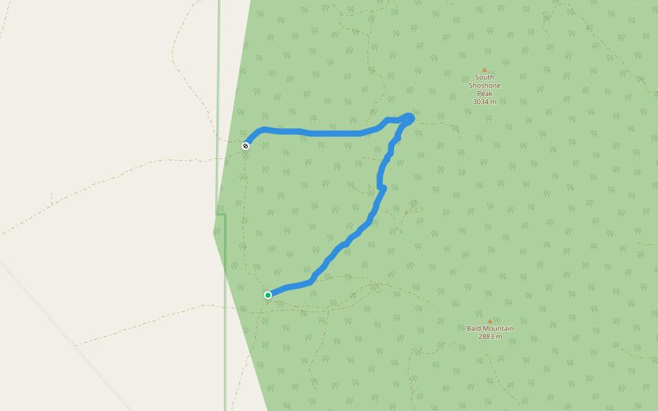 National Forest Development Road 114 Trail walking route map in Austin