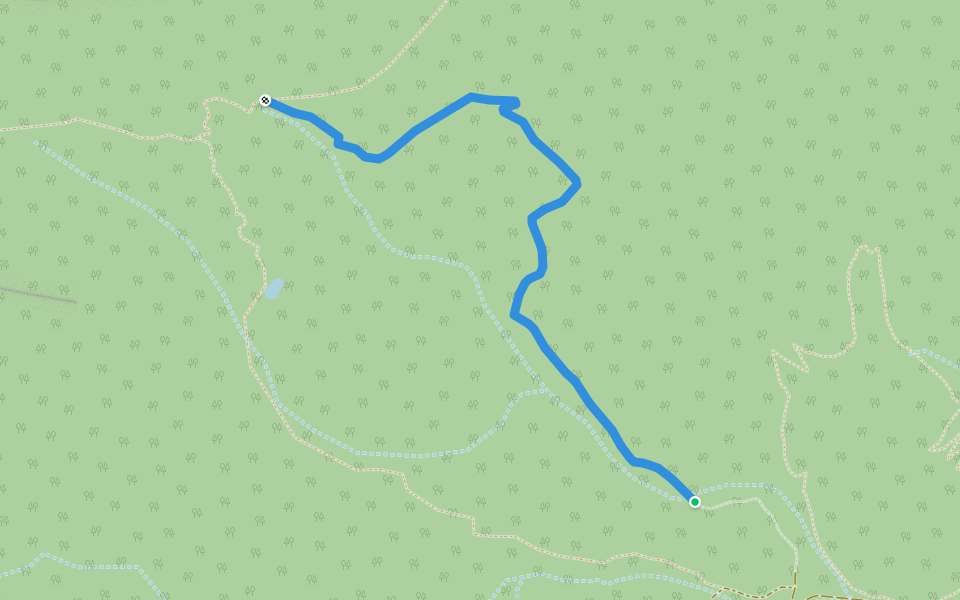 Johnson Lake Trail walking route map in Baker