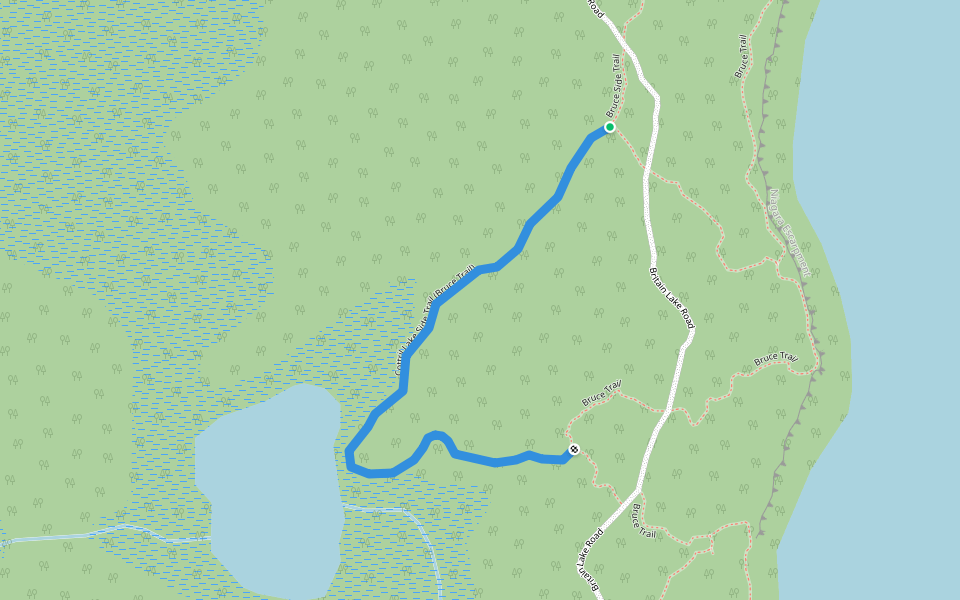 Cottril Lake Side Trail (Bruce Trail) walking route map in Miller Lake