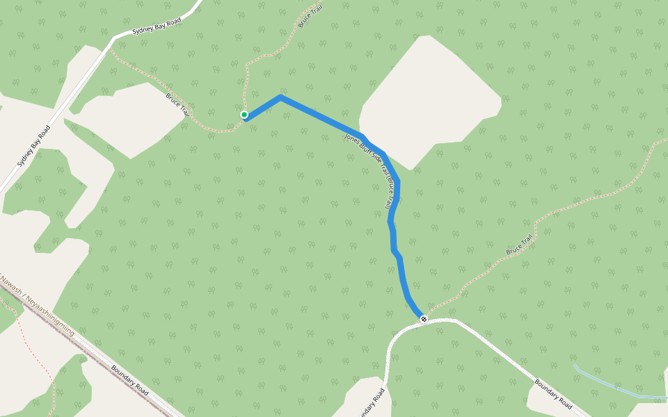 Jones Bluff Side Trail (Bruce Trail) walking route map in Wiarton