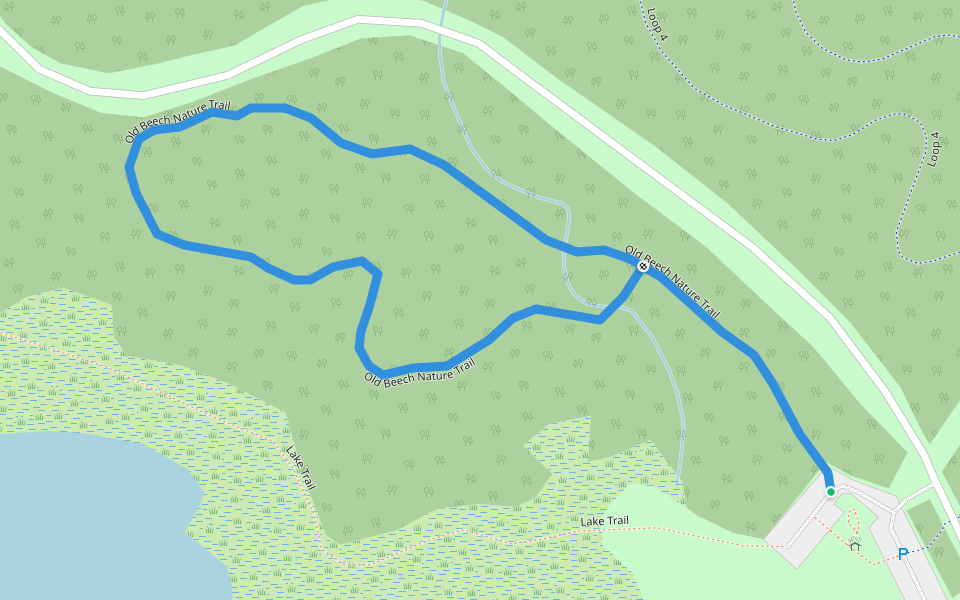 Old Beech Nature Trail walking route map in Morrisville
