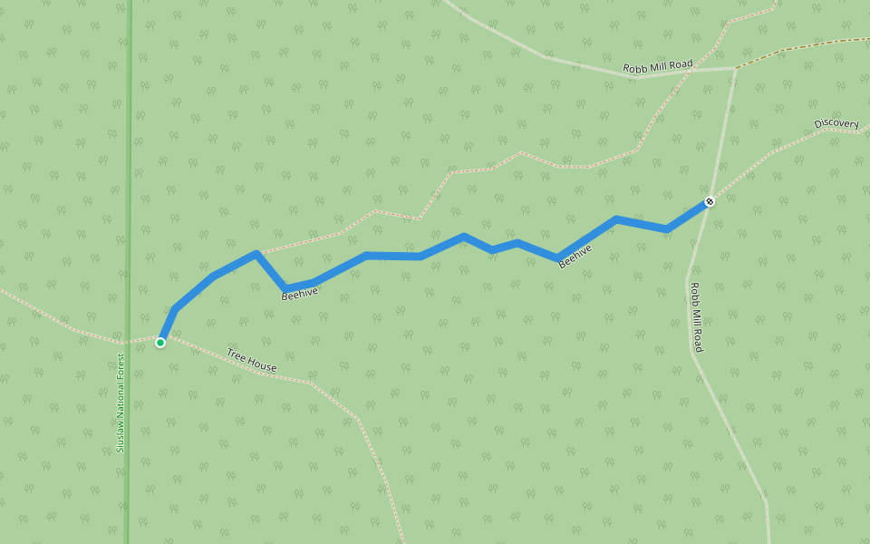 Beehive walking route map in Dallas