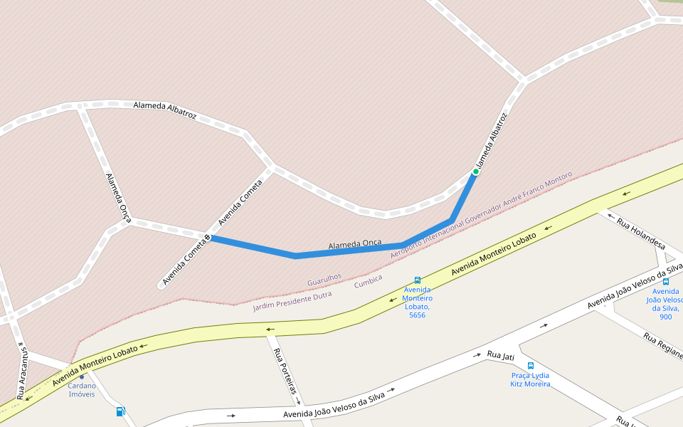 Alameda Onça walking route map in Guarulhos