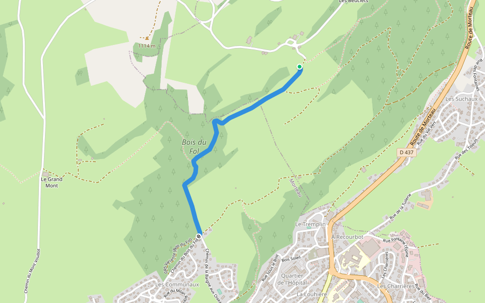 GR5 Variante (Bois du Fol) walking route map in Les Fins