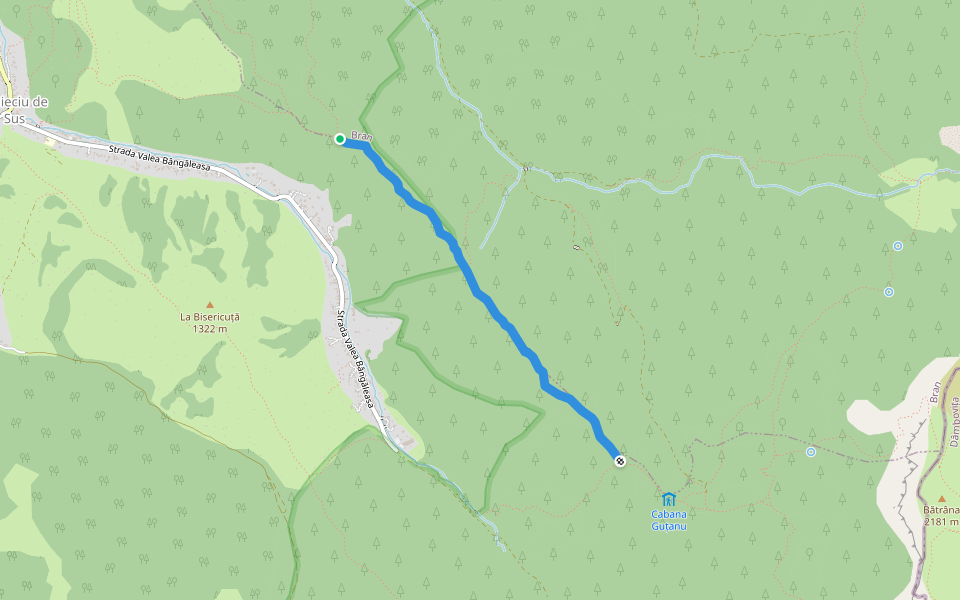 Spre Dealul Pleșii walking route map in Moieciu de Sus