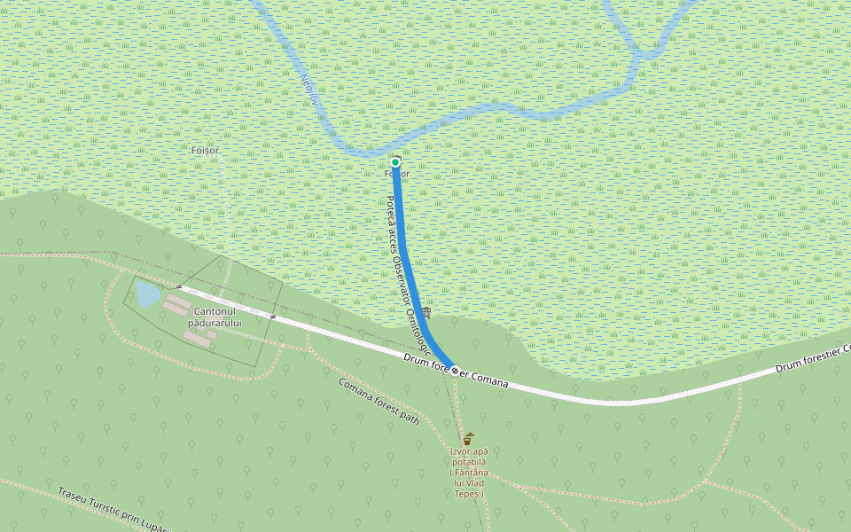 Potecă acces Observator Ornitologic walking route map in Comana