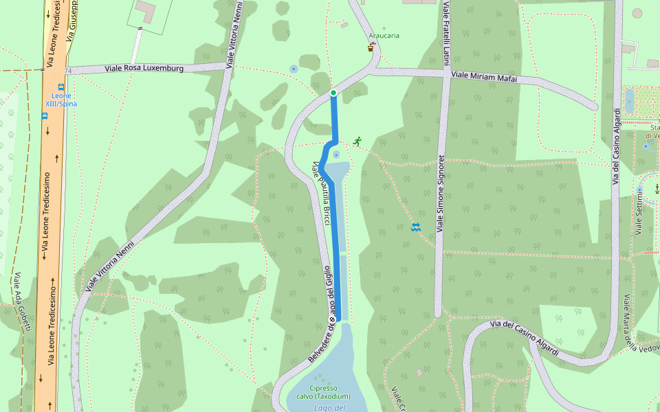 Viale Plautilla Bricci